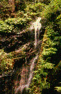 Dissetatemi, datemi acqua-give me some water, I'm thirsty