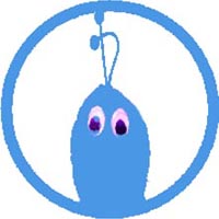 blog5