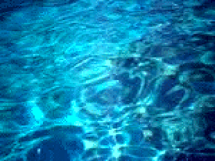 blog-4